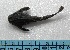  ( - UNMDP-T 2716)  @12 [ ] Unspecified (default): All Rights Reserved  Unspecified Unspecified