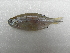  ( - UNMDP-T 2752)  @11 [ ] Unspecified (default): All Rights Reserved  Unspecified Unspecified