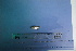  (Markiana - UNMDP T 2839)  @11 [ ] Unspecified (default): All Rights Reserved  Unspecified Unspecified