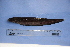  ( - UNMDP-T 2887)  @11 [ ] Unspecified (default): All Rights Reserved  Unspecified Unspecified