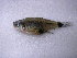  ( - UNMDP-T 3306)  @11 [ ] Unspecified (default): All Rights Reserved  Unspecified Unspecified