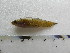  ( - UNMDP T 3520)  @11 [ ] Unspecified (default): All Rights Reserved  Unspecified Unspecified