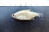 ( - UNMDP-T 3805)  @11 [ ] Unspecified (default): All Rights Reserved  Unspecified Unspecified