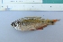  ( - UNMDP-T 3807)  @11 [ ] Unspecified (default): All Rights Reserved  Unspecified Unspecified