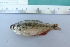  ( - UNMDP-T 3808)  @11 [ ] Unspecified (default): All Rights Reserved  Unspecified Unspecified
