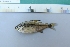  ( - UNMDP-T 3812)  @11 [ ] Unspecified (default): All Rights Reserved  Unspecified Unspecified