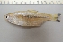  ( - UNMDP-T 3895)  @11 [ ] Unspecified (default): All Rights Reserved  Unspecified Unspecified