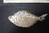  ( - UNMDP-T 3912)  @11 [ ] Unspecified (default): All Rights Reserved  Unspecified Unspecified