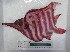  ( - UNMDP-T 4222)  @11 [ ] Unspecified (default): All Rights Reserved  Unspecified Unspecified