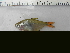  ( - UNMDP-T 4261)  @11 [ ] Unspecified (default): All Rights Reserved  Unspecified Unspecified