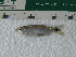  ( - UNMDP-T 4306)  @11 [ ] Unspecified (default): All Rights Reserved  Unspecified Unspecified