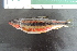  ( - UNMDP-T4684)  @11 [ ] Unspecified (default): All Rights Reserved  Unspecified Unspecified