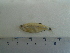  ( - UNMDP-T5058)  @11 [ ] Unspecified (default): All Rights Reserved  Unspecified Unspecified