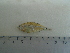  ( - UNMDP-T5059)  @11 [ ] Unspecified (default): All Rights Reserved  Unspecified Unspecified
