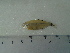 ( - UNMDP-T5061)  @11 [ ] Unspecified (default): All Rights Reserved  Unspecified Unspecified