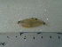  ( - UNMDP-T5062)  @11 [ ] Unspecified (default): All Rights Reserved  Unspecified Unspecified