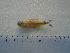  ( - UNMDP-T5101)  @11 [ ] Unspecified (default): All Rights Reserved  Unspecified Unspecified