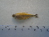  ( - UNMDP-T5103)  @11 [ ] Unspecified (default): All Rights Reserved  Unspecified Unspecified