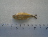  ( - UNMDP-T5104)  @11 [ ] Unspecified (default): All Rights Reserved  Unspecified Unspecified