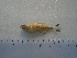  ( - UNMDP-T5105)  @11 [ ] Unspecified (default): All Rights Reserved  Unspecified Unspecified