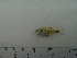  ( - UNMDP-T5108)  @11 [ ] Unspecified (default): All Rights Reserved  Unspecified Unspecified