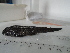  ( - UNMDP-T5123)  @11 [ ] Unspecified (default): All Rights Reserved  Unspecified Unspecified