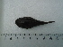  ( - UNMDP-T5124)  @11 [ ] Unspecified (default): All Rights Reserved  Unspecified Unspecified