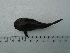  ( - UNMDP-T5125)  @11 [ ] Unspecified (default): All Rights Reserved  Unspecified Unspecified