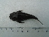  ( - UNMDP-T5126)  @11 [ ] Unspecified (default): All Rights Reserved  Unspecified Unspecified