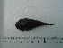  ( - UNMDP-T5127)  @11 [ ] Unspecified (default): All Rights Reserved  Unspecified Unspecified
