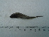  ( - UNMDP-T5130)  @11 [ ] Unspecified (default): All Rights Reserved  Unspecified Unspecified