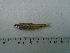 ( - UNMDP-T5137)  @11 [ ] Unspecified (default): All Rights Reserved  Unspecified Unspecified