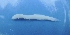  ( - UNMDP FL 005)  @11 [ ] Unspecified (default): All Rights Reserved  Unspecified Unspecified