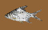  ( - SLM-PP(PH)-01)  @14 [ ] CreativeCommons - Attribution Non-Commercial Share-Alike (2011) Zulkafli Abd Rashid Department of Fisheries Malaysia, Freshwater Fisheries Research Division, Jelebu, Malaysia