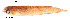  ( - stri-16184)  @11 [ ] Unspecified (default): All Rights Reserved  Unspecified Unspecified