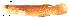  ( - stri-7511)  @11 [ ] Unspecified (default): All Rights Reserved  Unspecified Unspecified