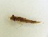  ( - TSZX-22951)  @11 [ ] CreativeCommons - Attribution Non-Commercial Share-Alike (2016) Unspecified Tromso University Museum