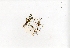  ( - RO_002)  @11 [ ] Copyright (2016) Ryan. D. Orton African Centre for DNA Barcoding