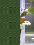  ( - RO_004)  @11 [ ] Copyright (2016) Ryan. D. Orton African Centre for DNA Barcoding
