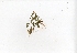  ( - RO_010)  @11 [ ] Copyright (2016) Ryan. D. Orton African Centre for DNA Barcoding