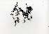  ( - RO_018)  @11 [ ] Copyright (2016) Ryan. D. Orton African Centre for DNA Barcoding