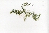  ( - RO_023)  @11 [ ] Copyright (2016) Ryan. D. Orton African Centre for DNA Barcoding