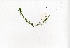  ( - RO_024)  @11 [ ] Copyright (2016) Ryan. D. Orton African Centre for DNA Barcoding