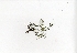  ( - RO_090)  @11 [ ] Copyright (2016) Ryan. D. Orton African Centre for DNA Barcoding