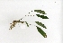 ( - RO_092)  @11 [ ] Copyright (2016) Ryan. D. Orton African Centre for DNA Barcoding