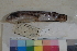  ( - FWRI00124)  @11 [ ] CreativeCommons - Attribution Non-Commercial (2011) Smithsonian Institution Smithsonian Institution