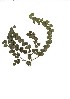  ( - CM.620.49)  @11 [ ] Unspecified (default): All Rights Reserved  Unspecified Unspecified