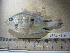  ( - NEC-0116)  @13 [ ] Unspecified (default): All Rights Reserved  Unspecified Unspecified