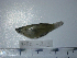  ( - NEC-0213)  @13 [ ] Unspecified (default): All Rights Reserved  Unspecified Unspecified