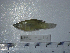  ( - NEC-0214)  @13 [ ] Unspecified (default): All Rights Reserved  Unspecified Unspecified